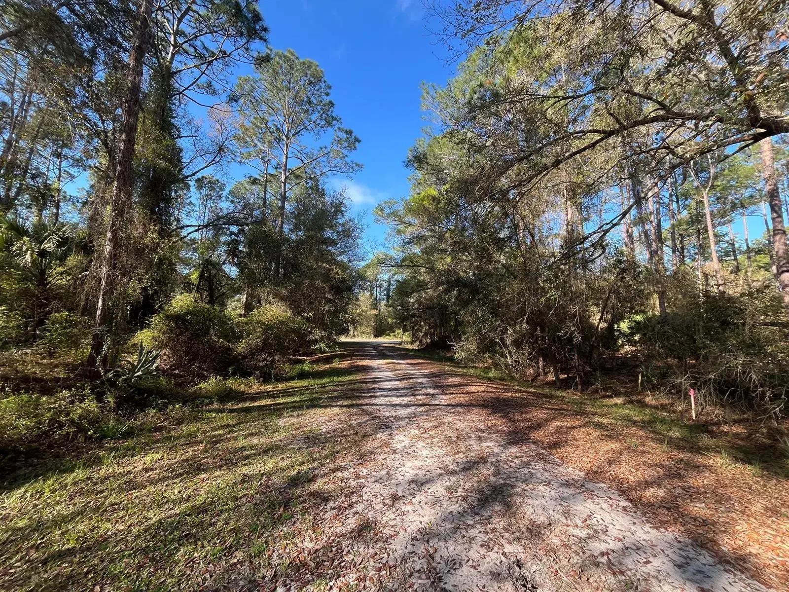 104 SE 5th Street, FL 32139