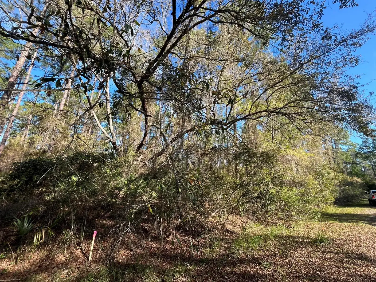 104 SE 5th Street, FL 32139 photo 3