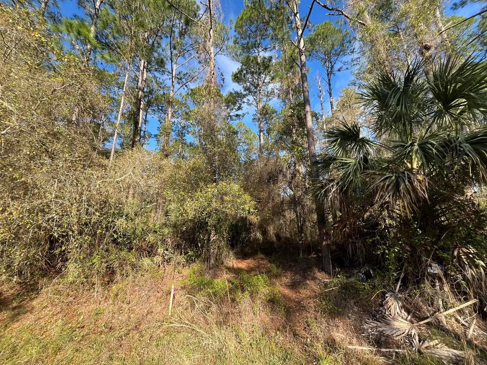 104 SE 5th Street, FL 32139