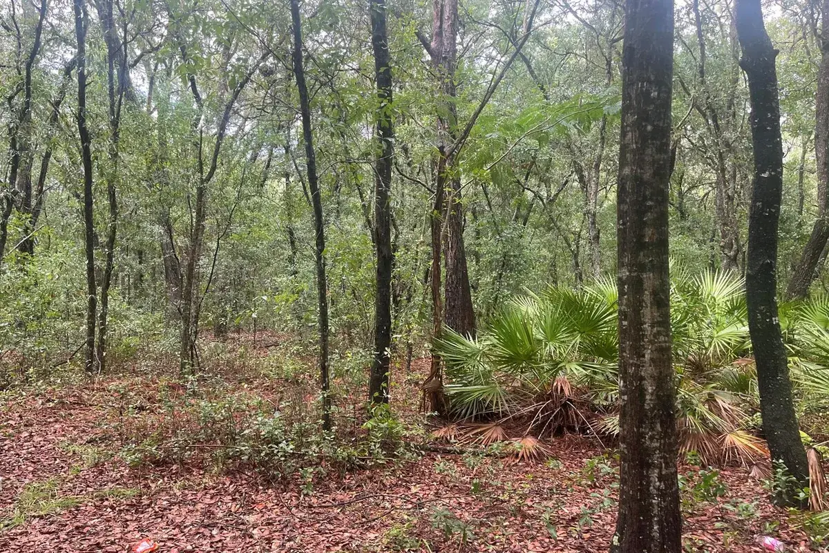 Tbd Delaware Avenue, FL 32148
