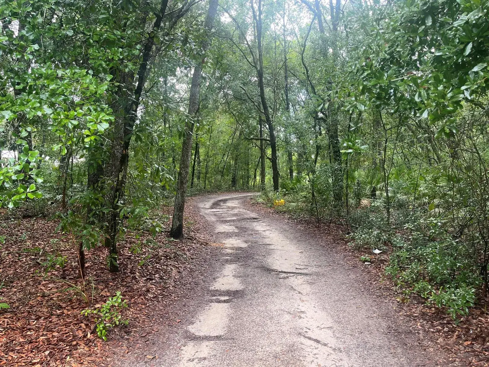 Tbd Delaware Avenue, FL 32148