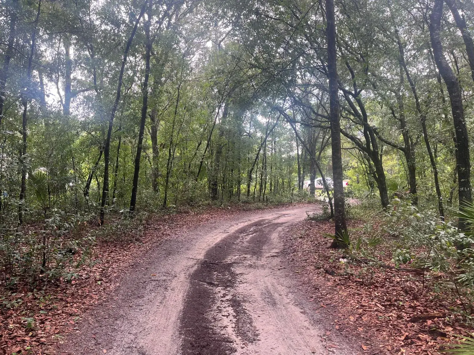 Tbd Delaware Avenue, FL 32148