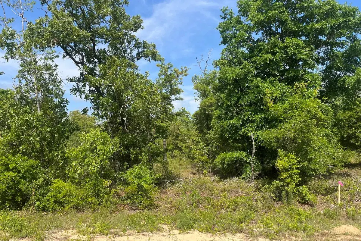 Tbd Rome Avenue, FL 32420