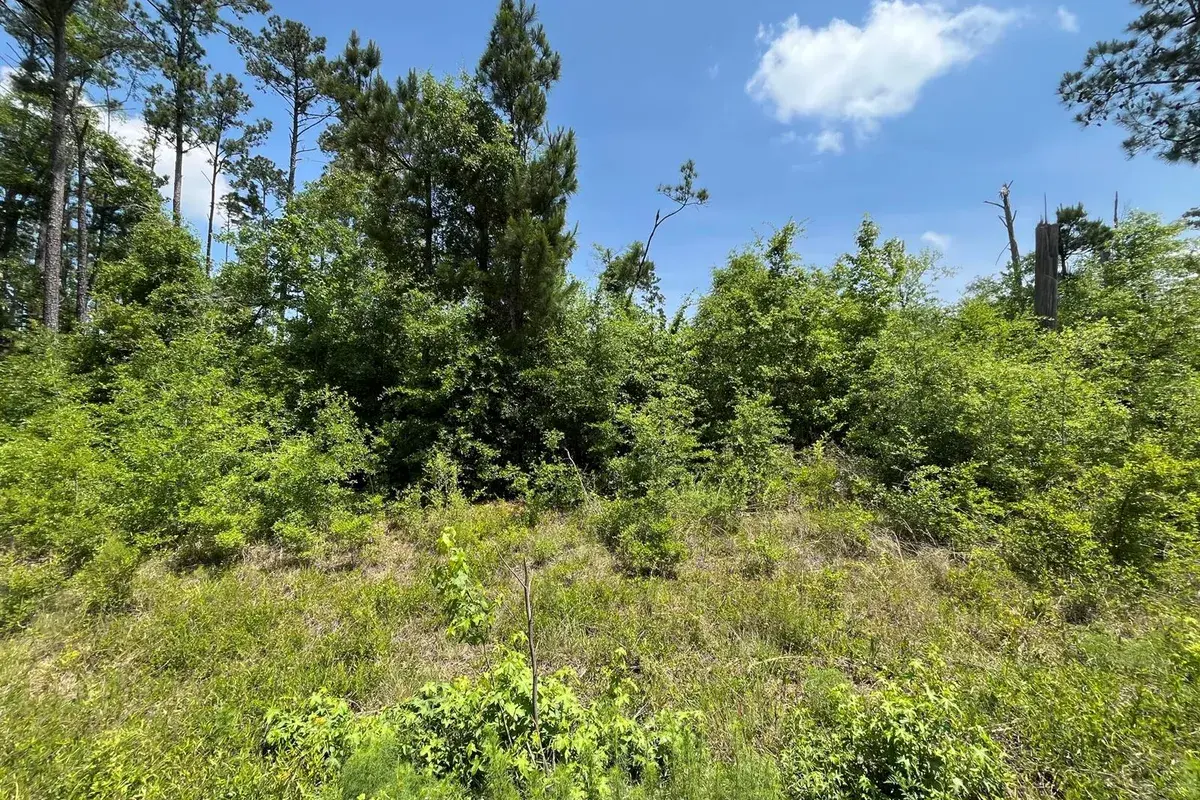 Tbd Grand Quiviera Circle, FL 32420