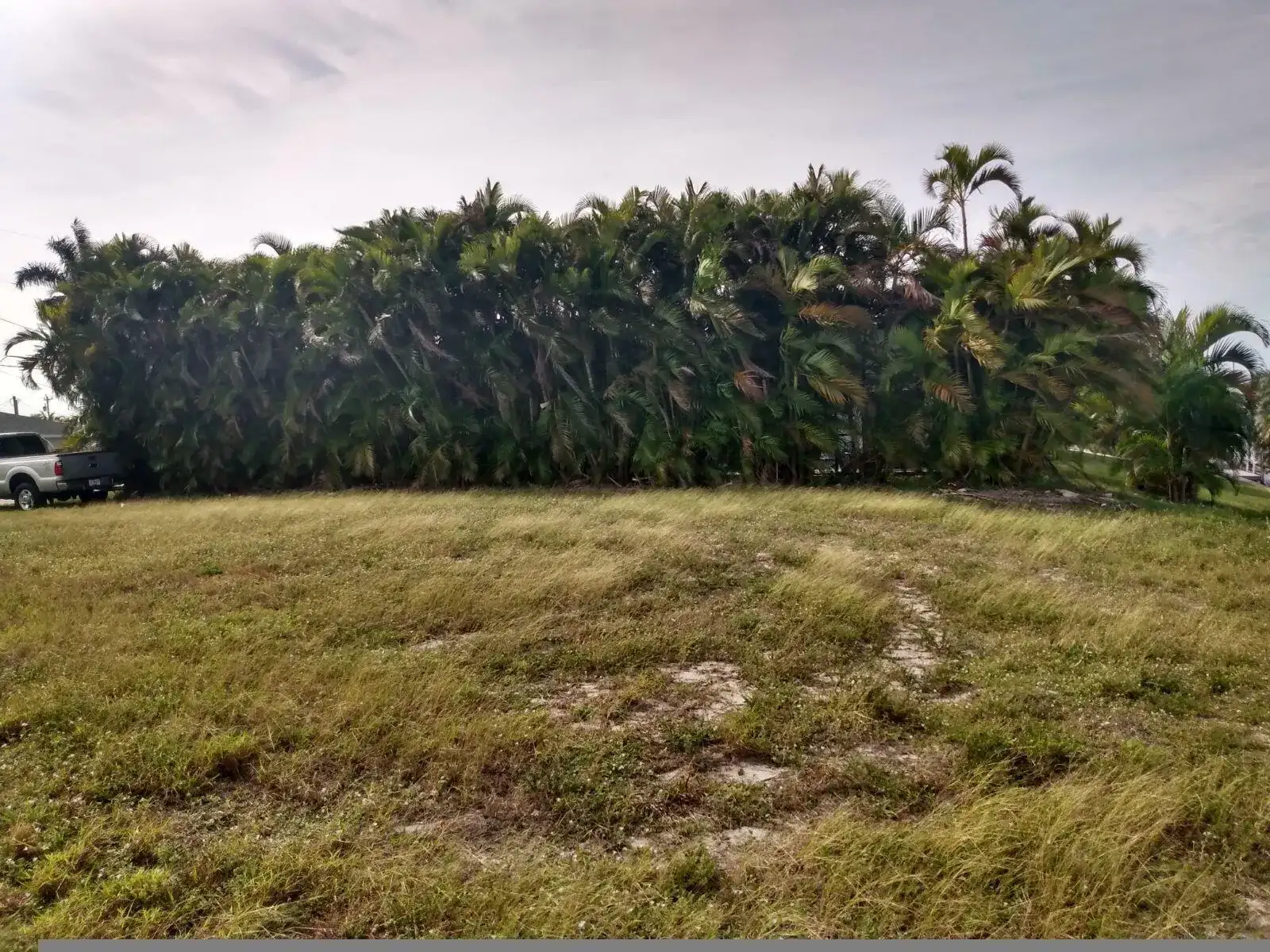 1727 SE 16th Street, Cape Coral FL 33990 photo 5