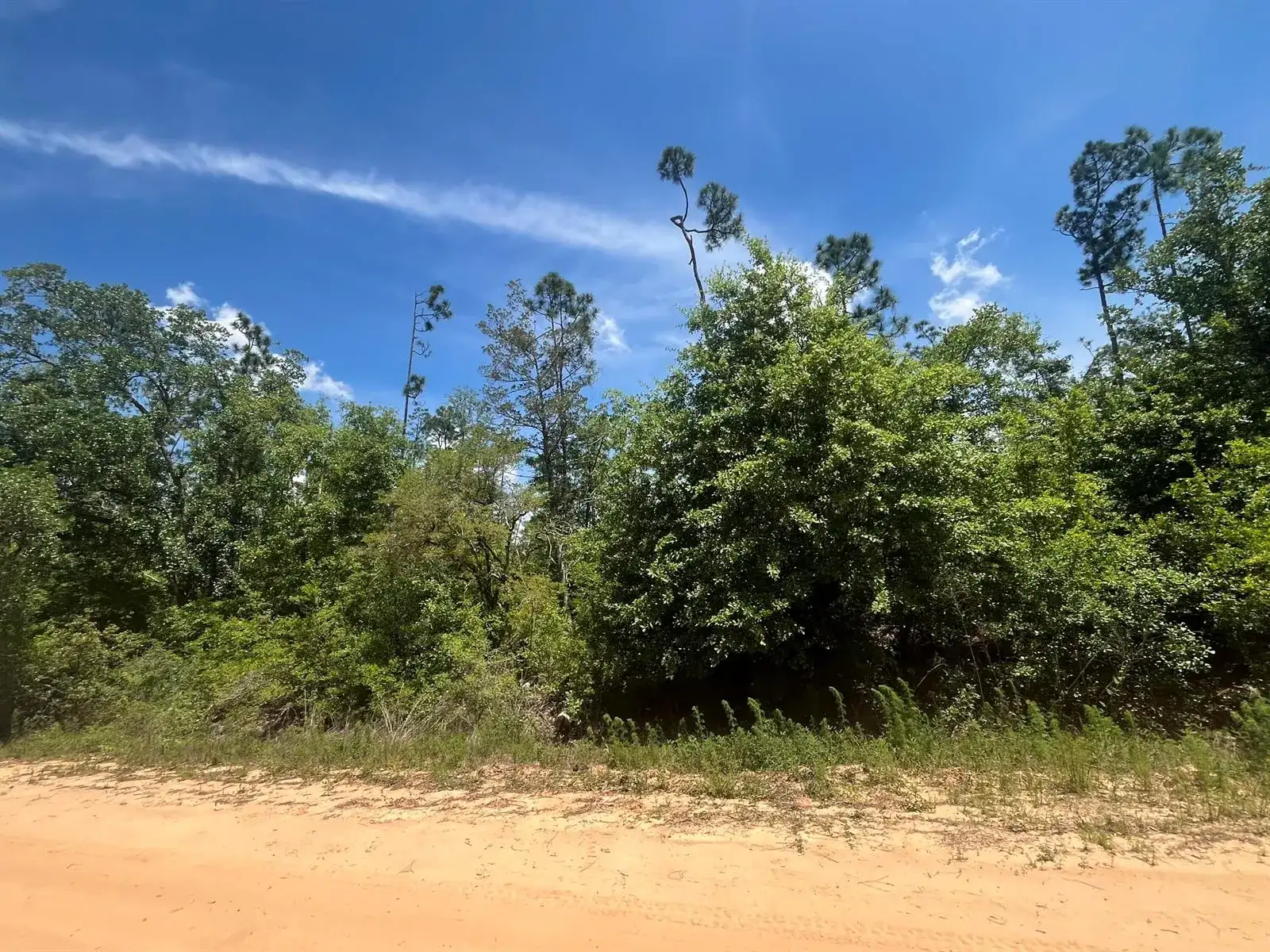 Tbd Tamarac Road, FL 32448 photo 4