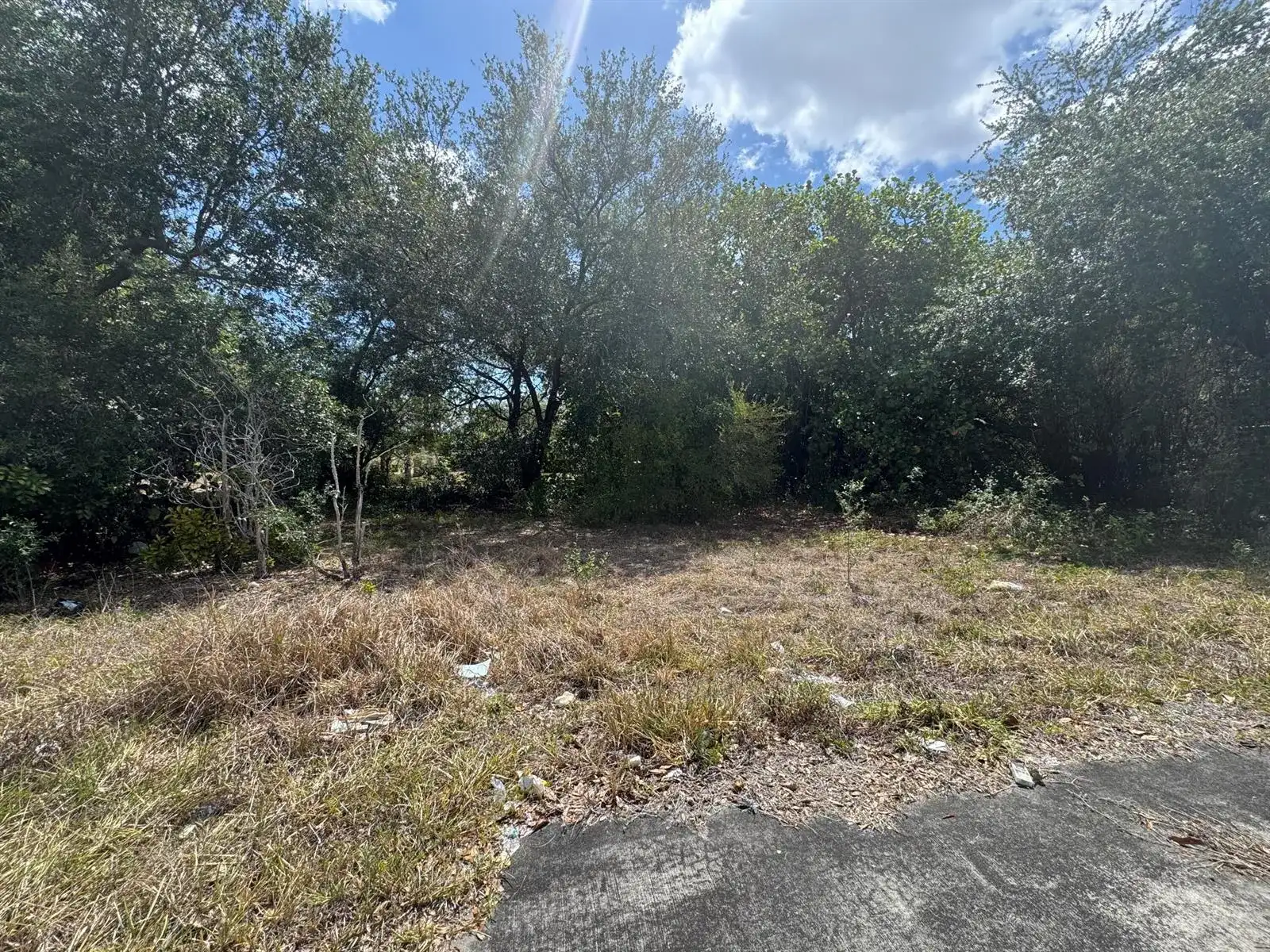 3358 S Jog Road, FL 33467 photo 3