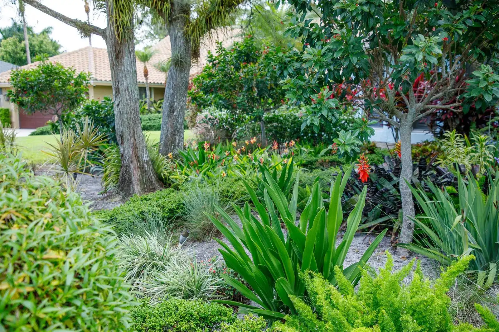 900 Cosmos Court, Wellington FL 33414 photo 3