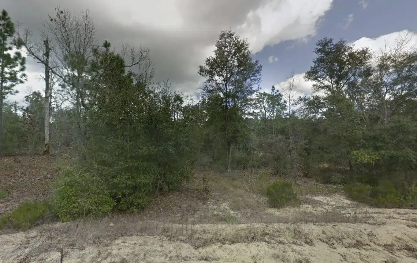 187 Paris Street, FL 32148 photo 2