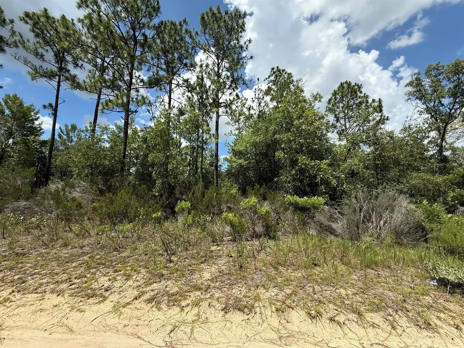 187 Paris Street, FL 32148 photo 5