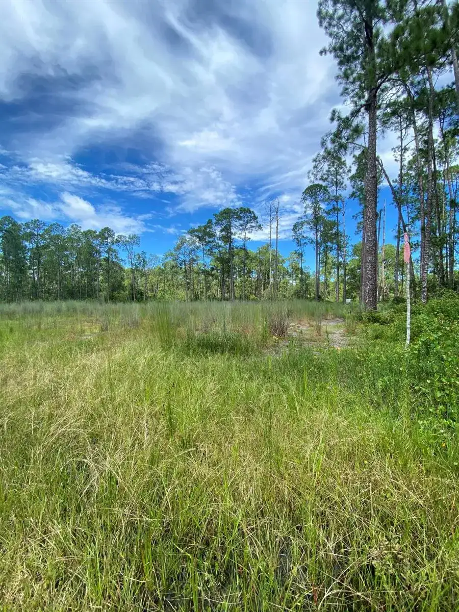 418 Gaillardia Drive, Lake Wales FL 33855 photo 3