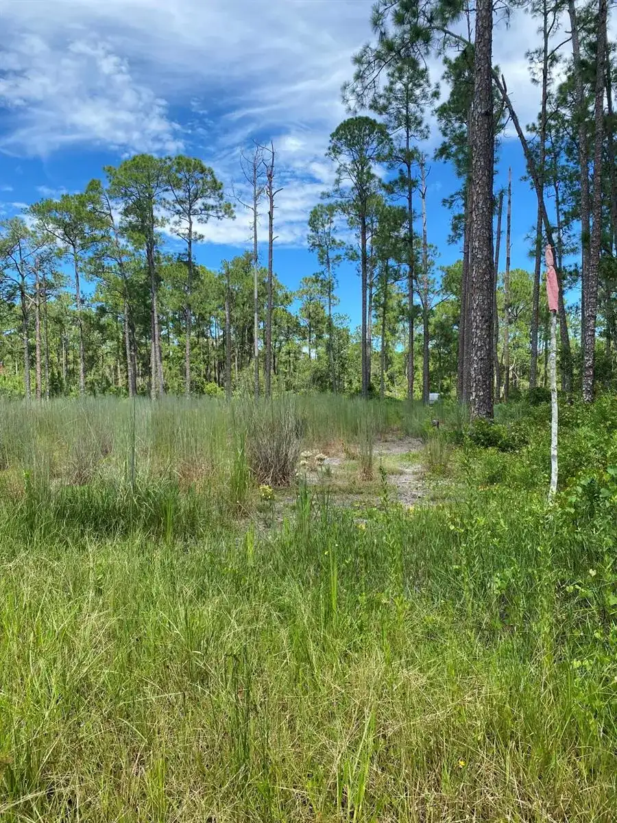 418 Gaillardia Drive, Lake Wales FL 33855 photo 4