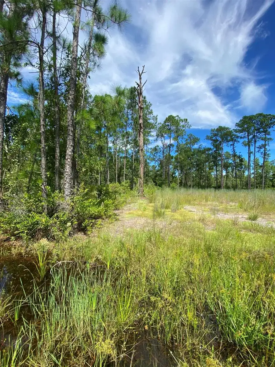 418 Gaillardia Drive, Lake Wales FL 33855 photo 5