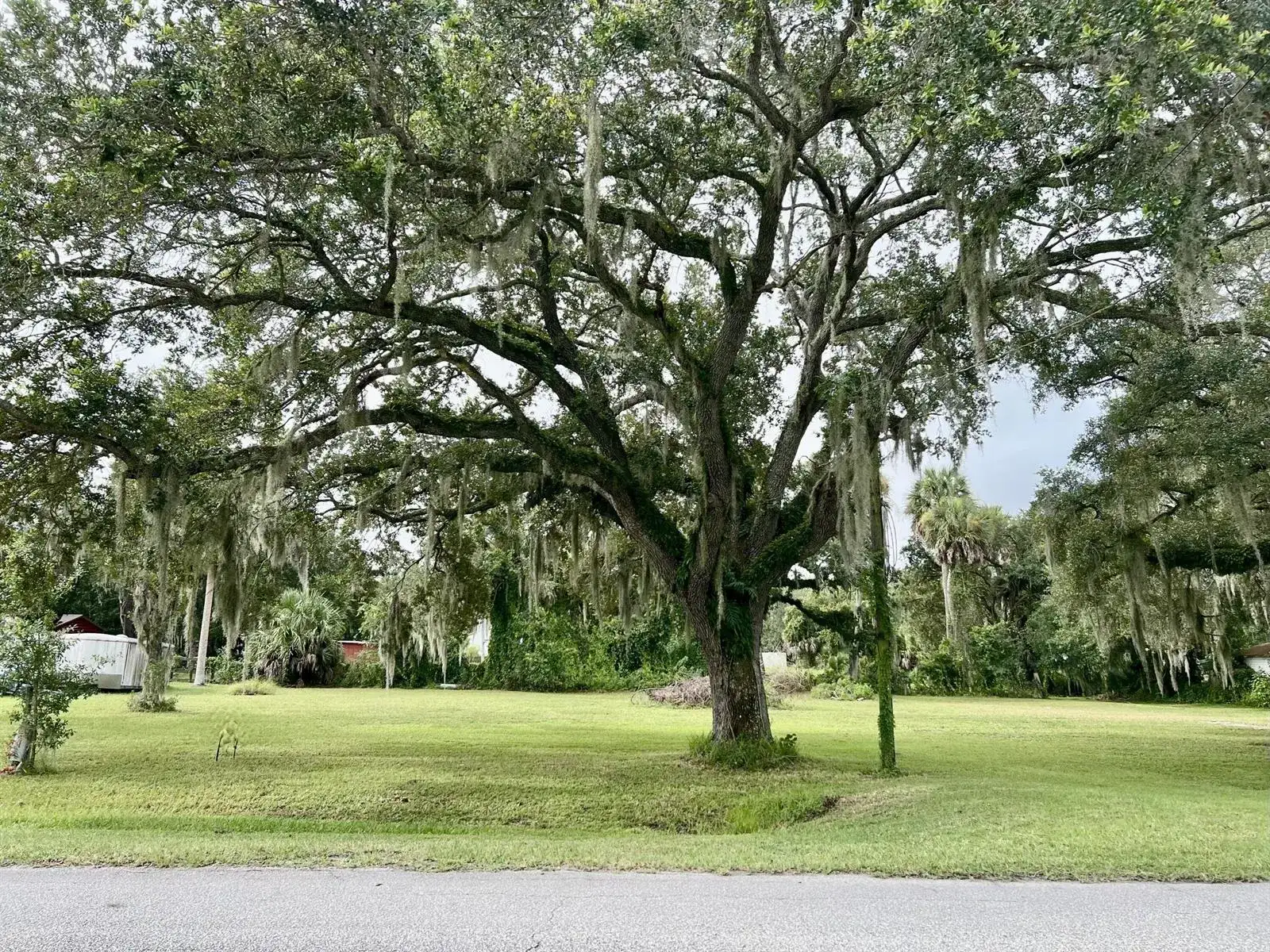 2070 SW 8th Street, Okeechobee FL 34974 photo 3
