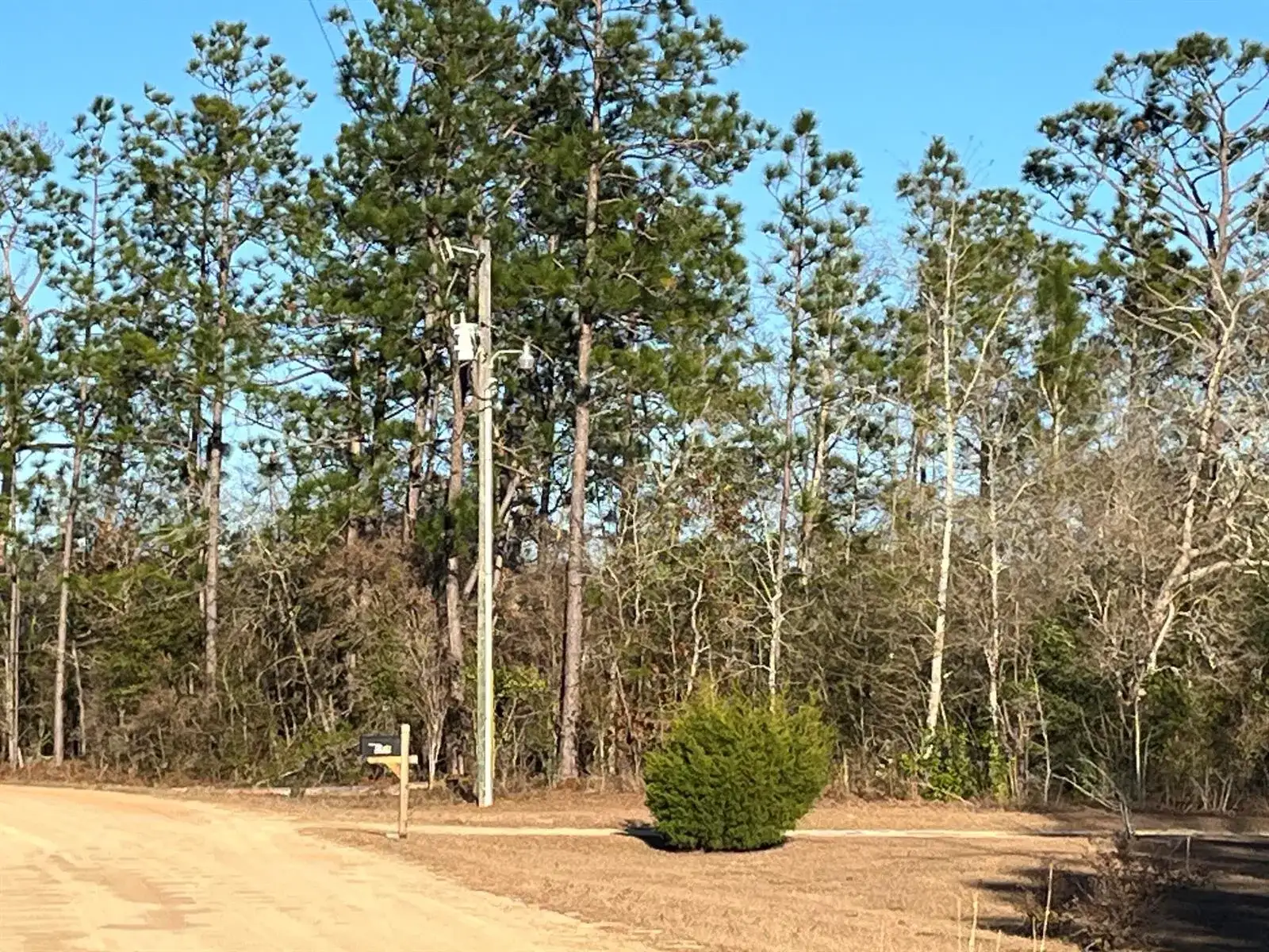 Tbd Goreville, FL 32420 photo 2