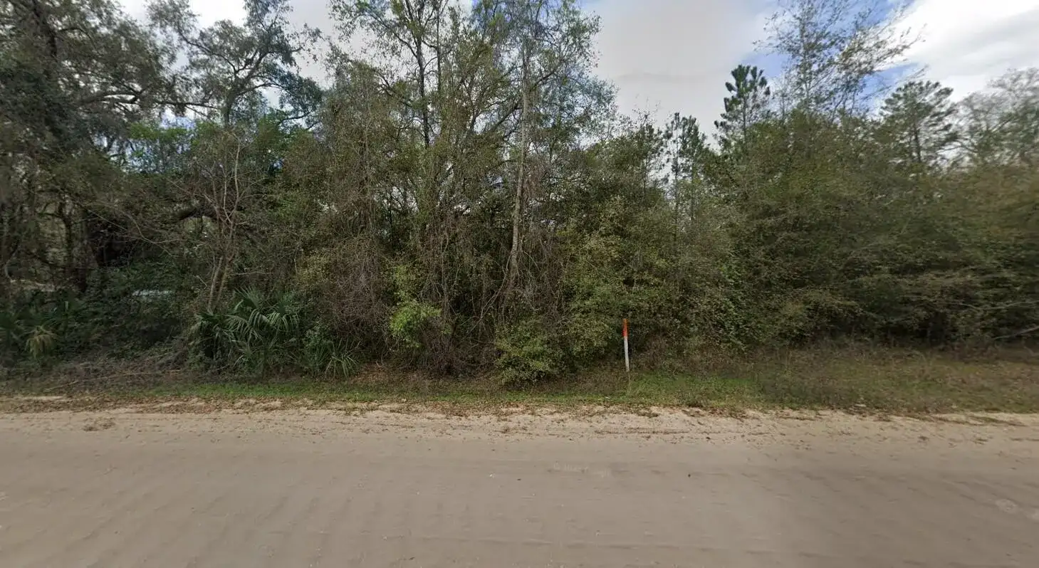 915 Annette Avenue, FL 32148 photo 3