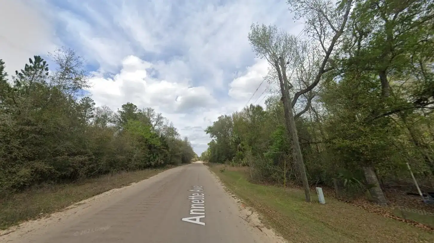915 Annette Avenue, FL 32148 photo 4