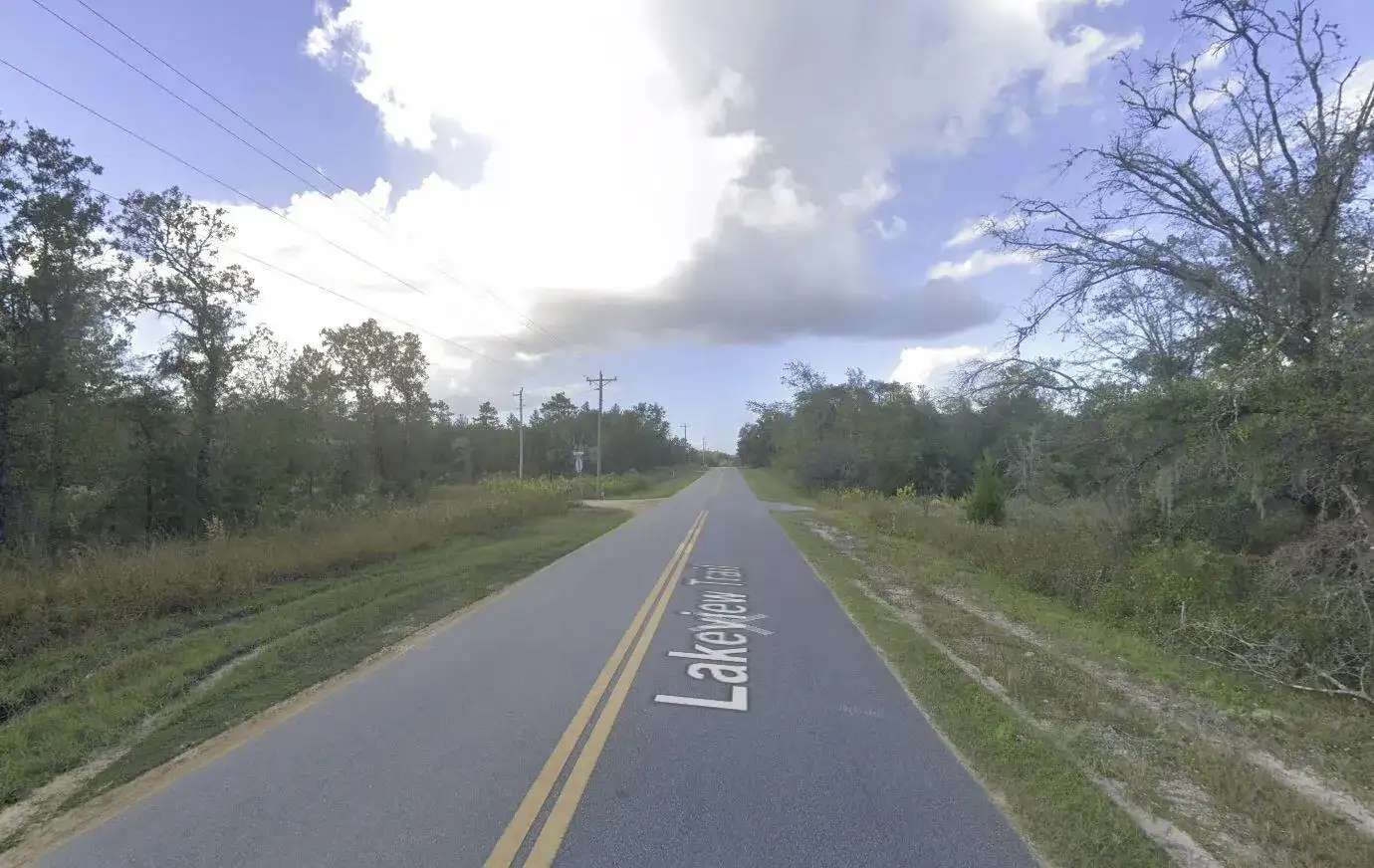 1504 Lakeview Trail, FL 32148 photo 2