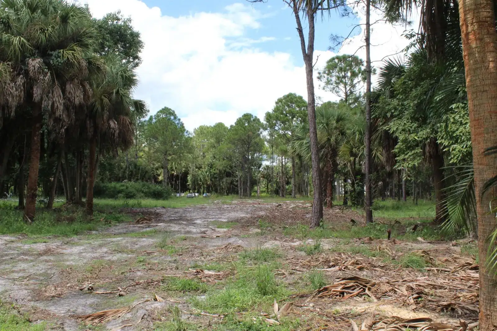 1275 Arabian Drive, Loxahatchee FL 33470 photo 2