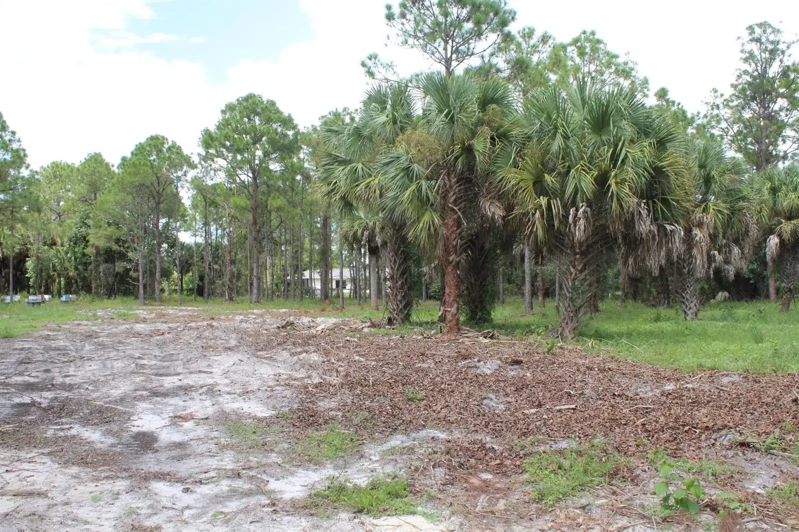 1275 Arabian Drive, Loxahatchee FL 33470 photo 3