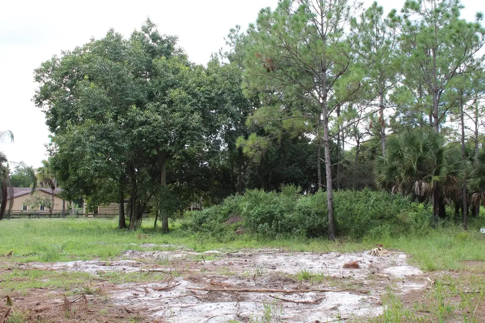 1275 Arabian Drive, Loxahatchee FL 33470 photo 4