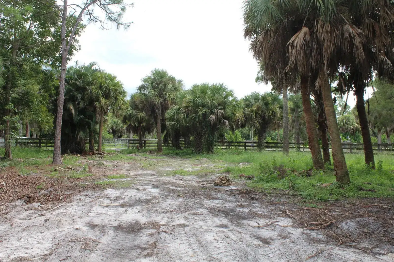 1275 Arabian Drive, Loxahatchee FL 33470 photo 5
