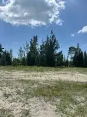 824 NE 23rd Terrace, Cape Coral FL 33909 photo 3