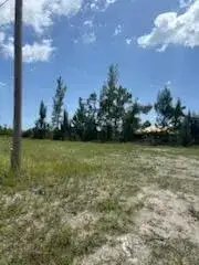 824 NE 23rd Terrace, Cape Coral FL 33909 photo 4