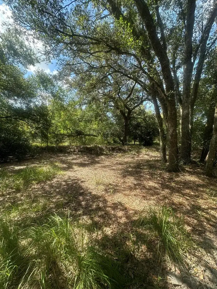 22128 NW 258th Street, Okeechobee FL 34972 photo 2