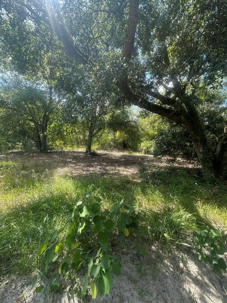 22128 NW 258th Street, Okeechobee FL 34972 photo 4