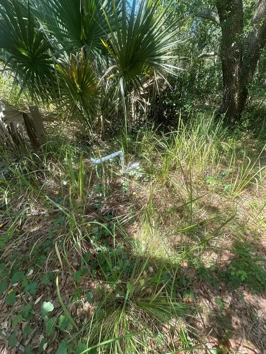 22128 NW 258th Street, Okeechobee FL 34972 photo 5