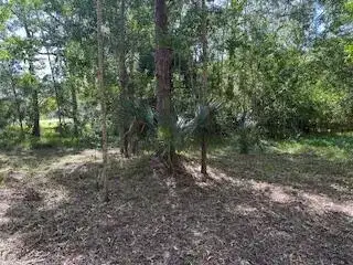 000 129th Avenue N, Royal Palm Beach FL 33411 photo 2