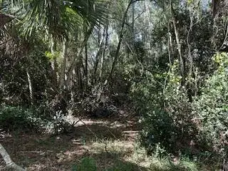 000 129th Avenue N, Royal Palm Beach FL 33411 photo 3