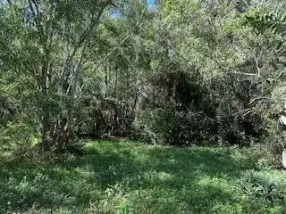 000 129th Avenue N, Royal Palm Beach FL 33411 photo 4