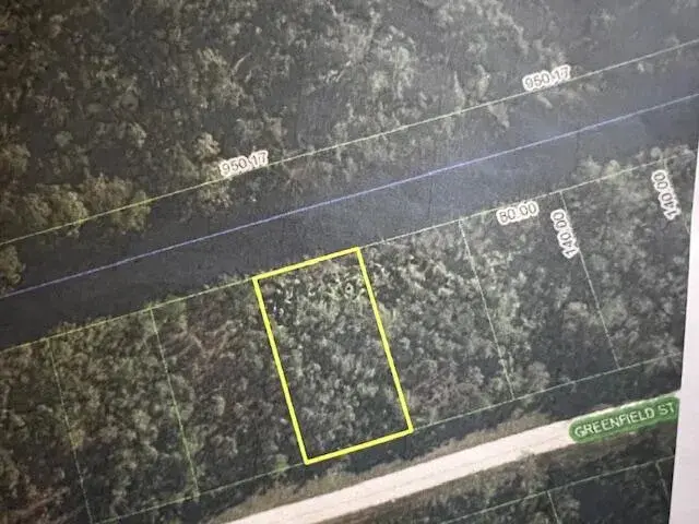 1123 Greenfield Street, Lake Placid FL 33852