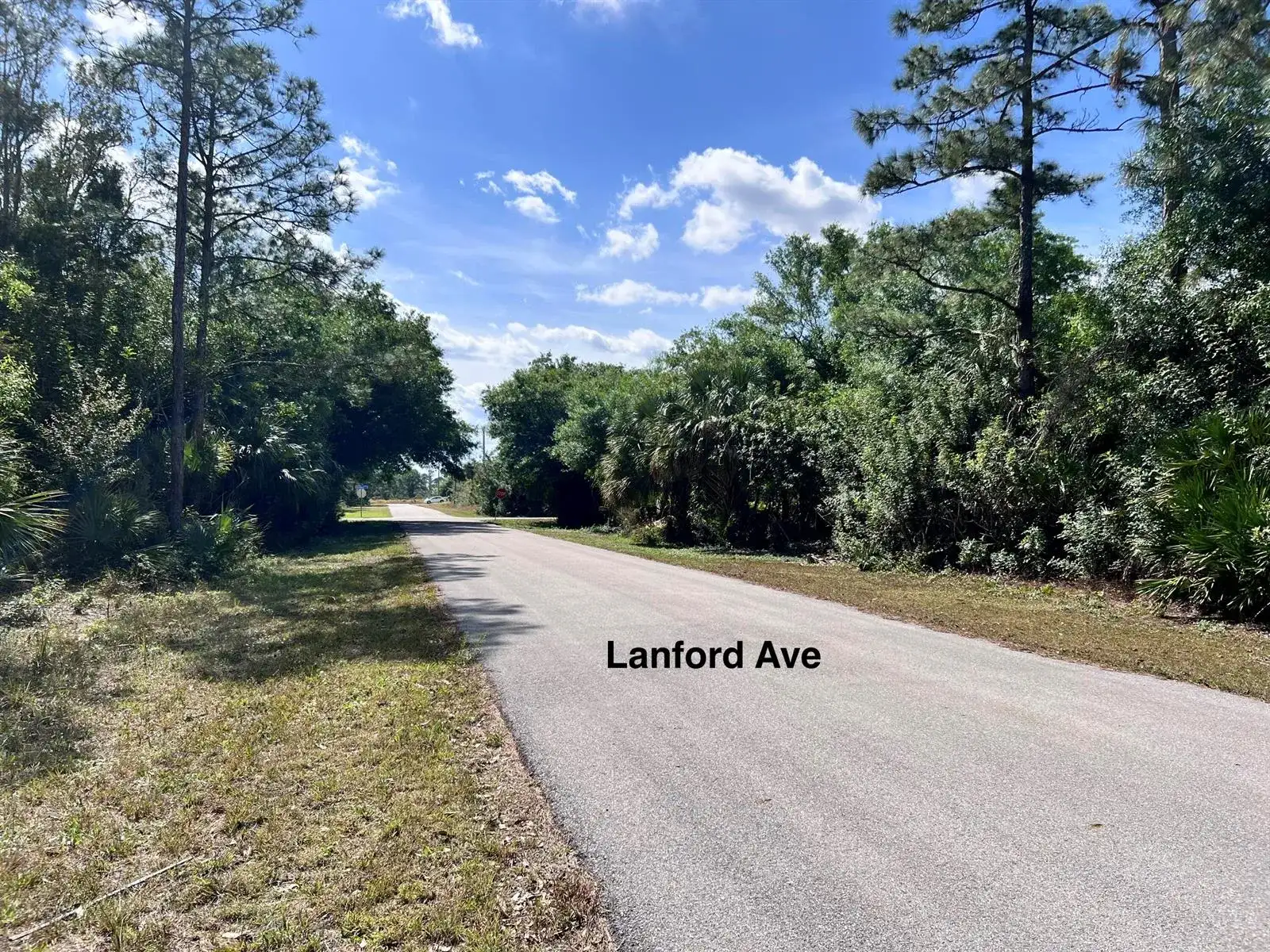 332 Lanford Avenue, Lehigh Acres FL 33974 photo 2