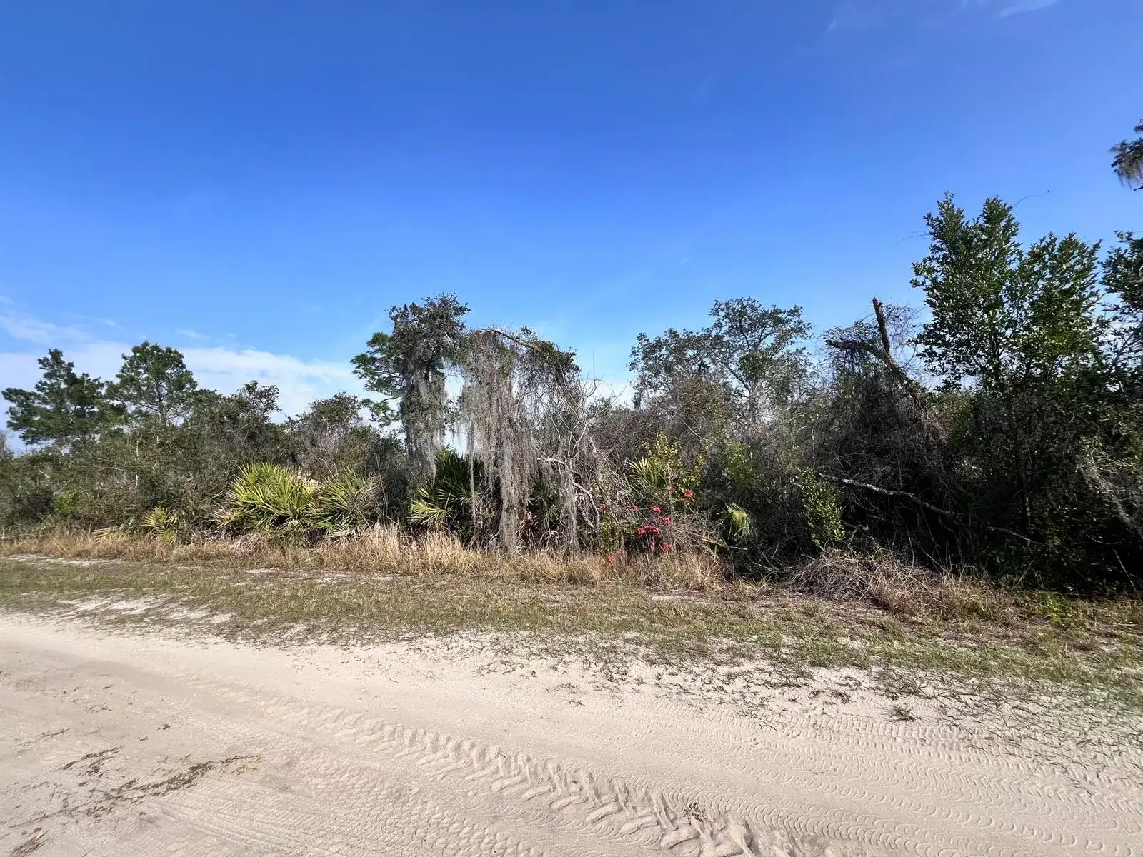 400 Nightingale Avenue, Sebring FL 33870 photo 2