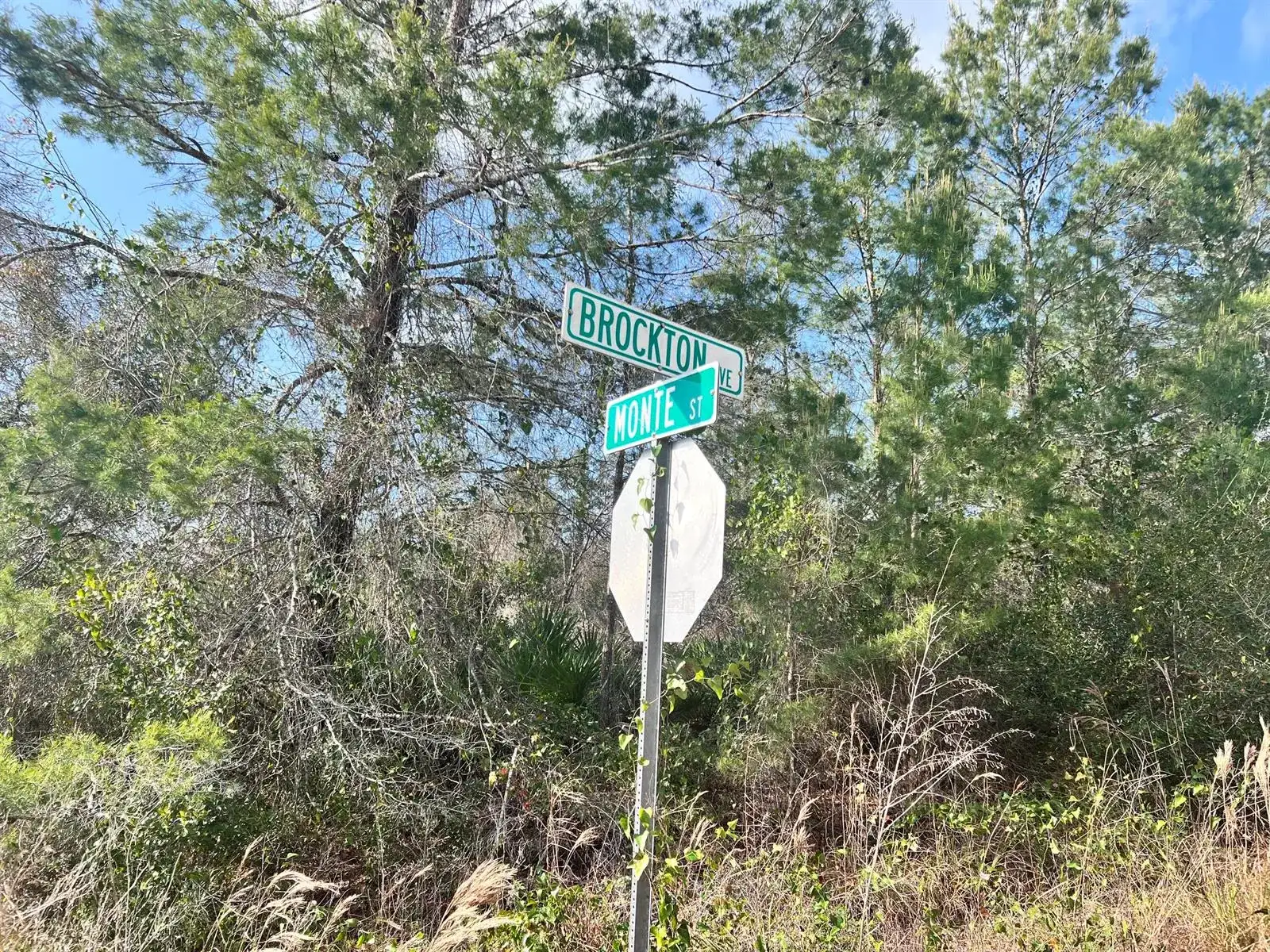 4847 Brockton Avenue, Sebring FL 33875 photo 2