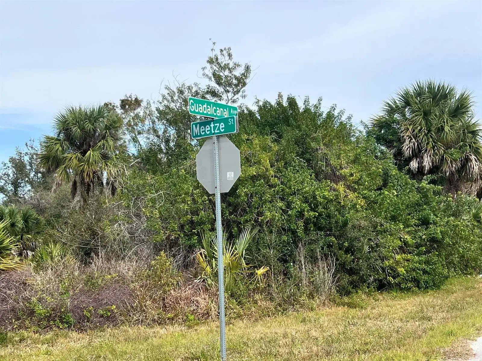 2135 Meetze Street, Port Charlotte FL 33953 photo 2