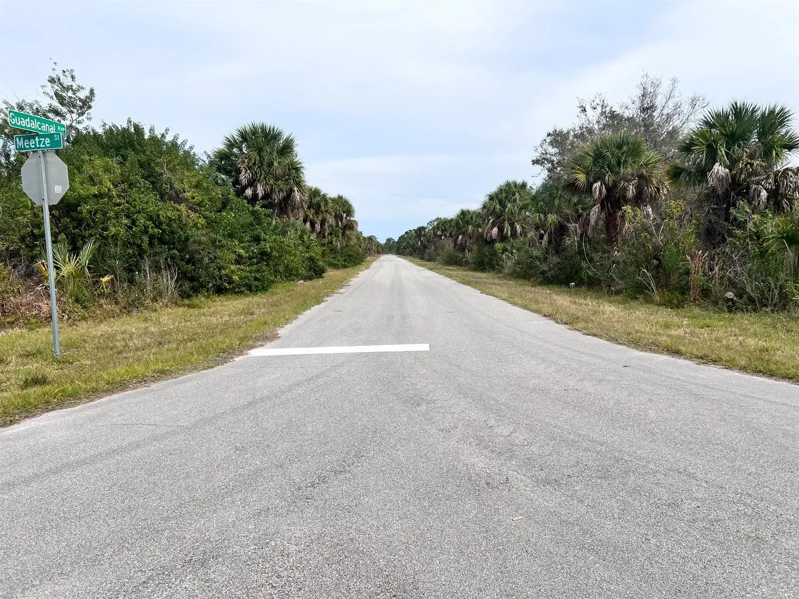 2135 Meetze Street, Port Charlotte FL 33953 photo 3