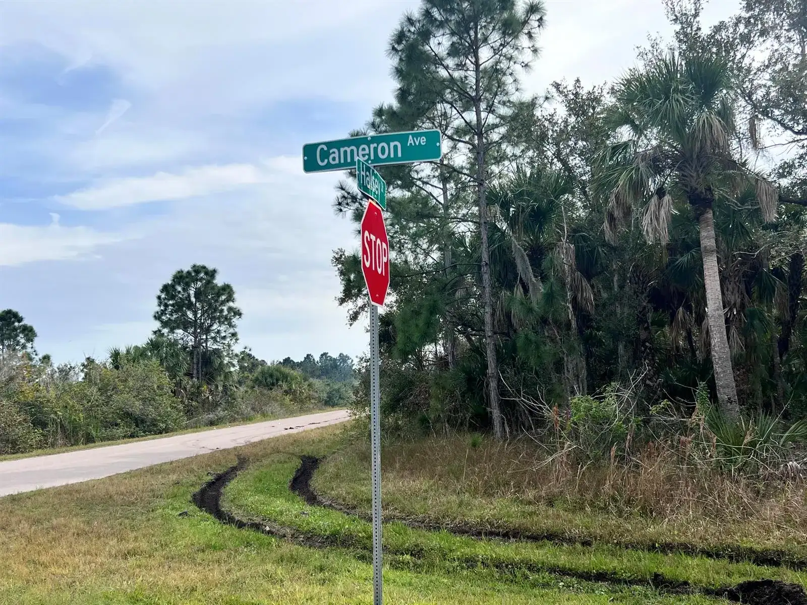 14248 Cameron Avenue, Port Charlotte FL 33953 photo 3