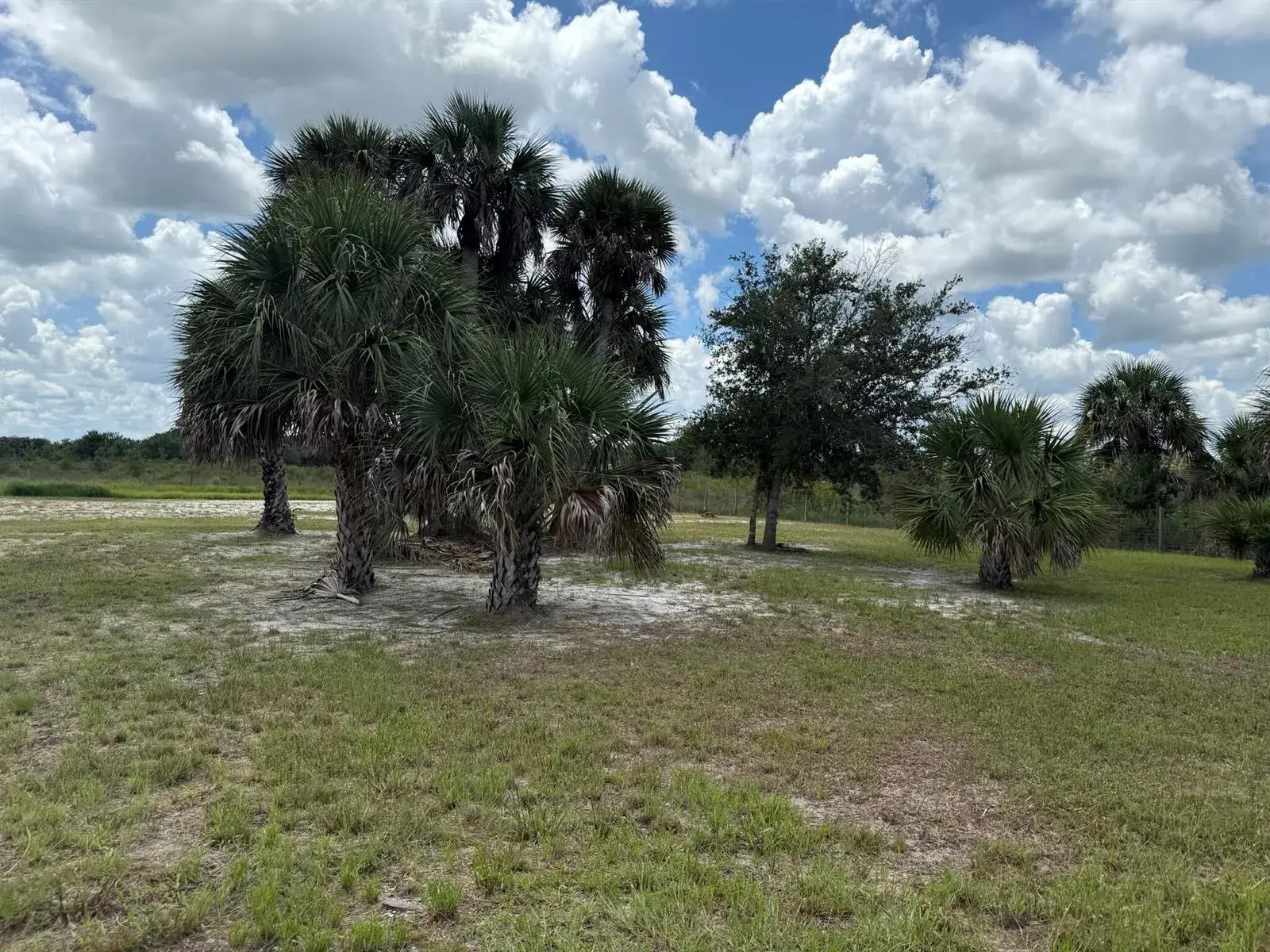 19374 NW 302nd Street, Okeechobee FL 34972