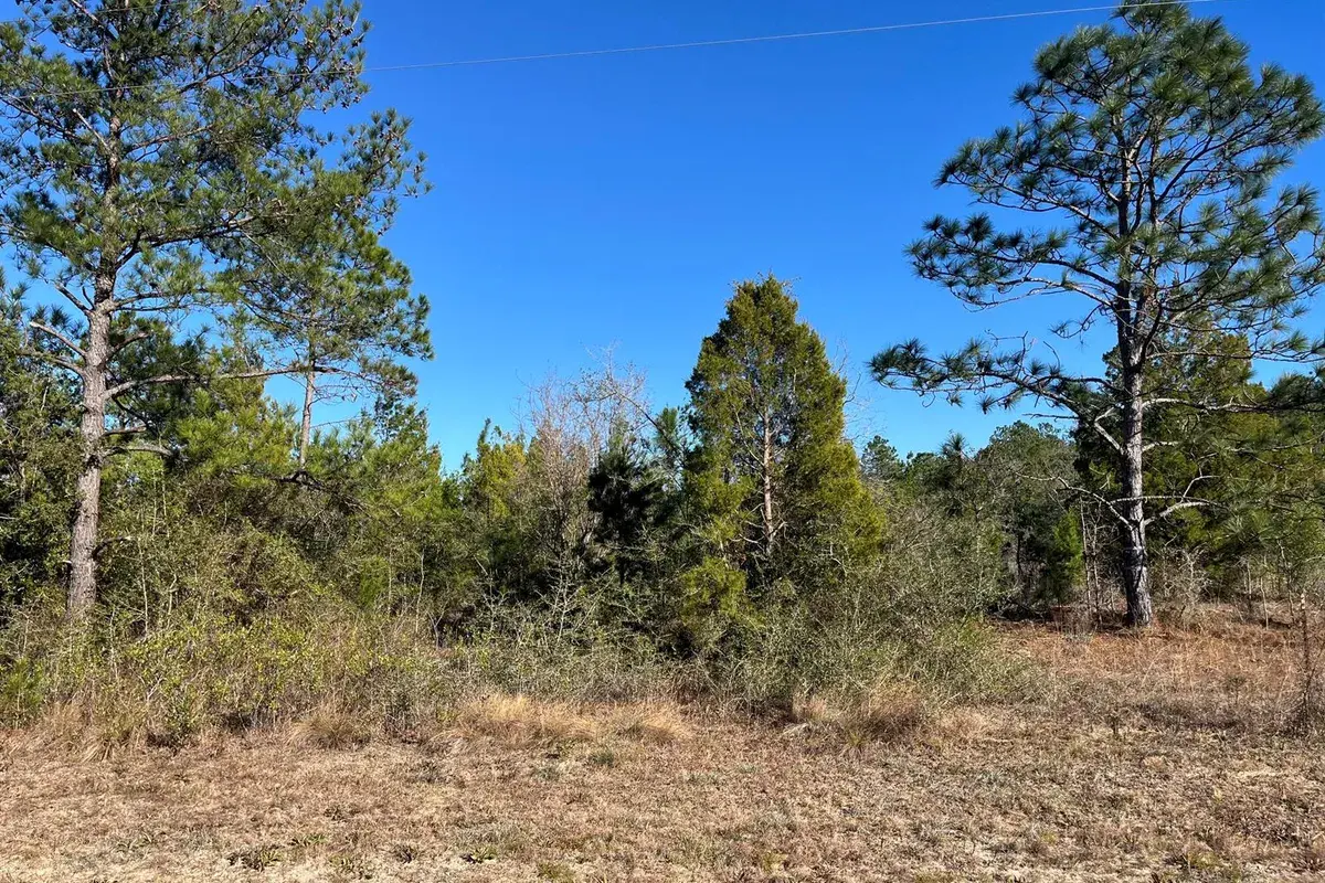 Tbd Fairview Road, FL 32448