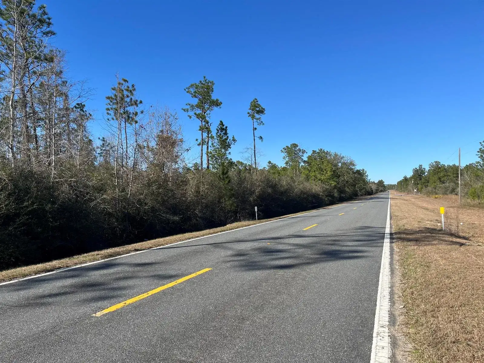 Tbd Fairview Road, FL 32448 photo 3