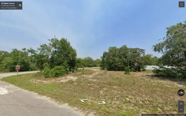 000 Maple Course, FL 34488 photo 3
