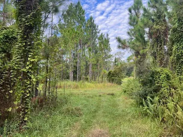 1137 Greenfield Street, Lake Placid FL 33852