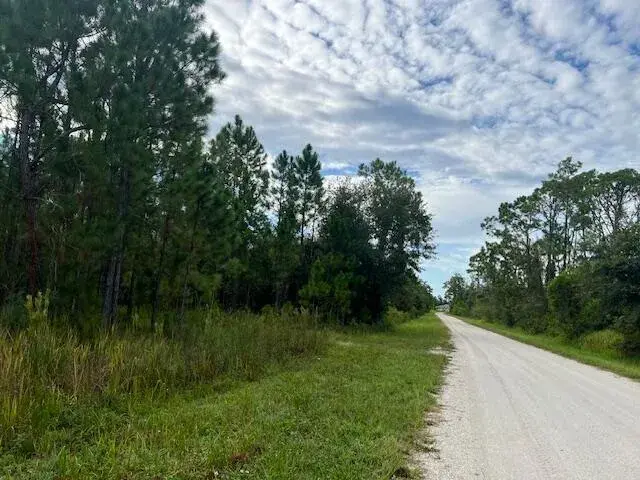 1137 Greenfield Street, Lake Placid FL 33852