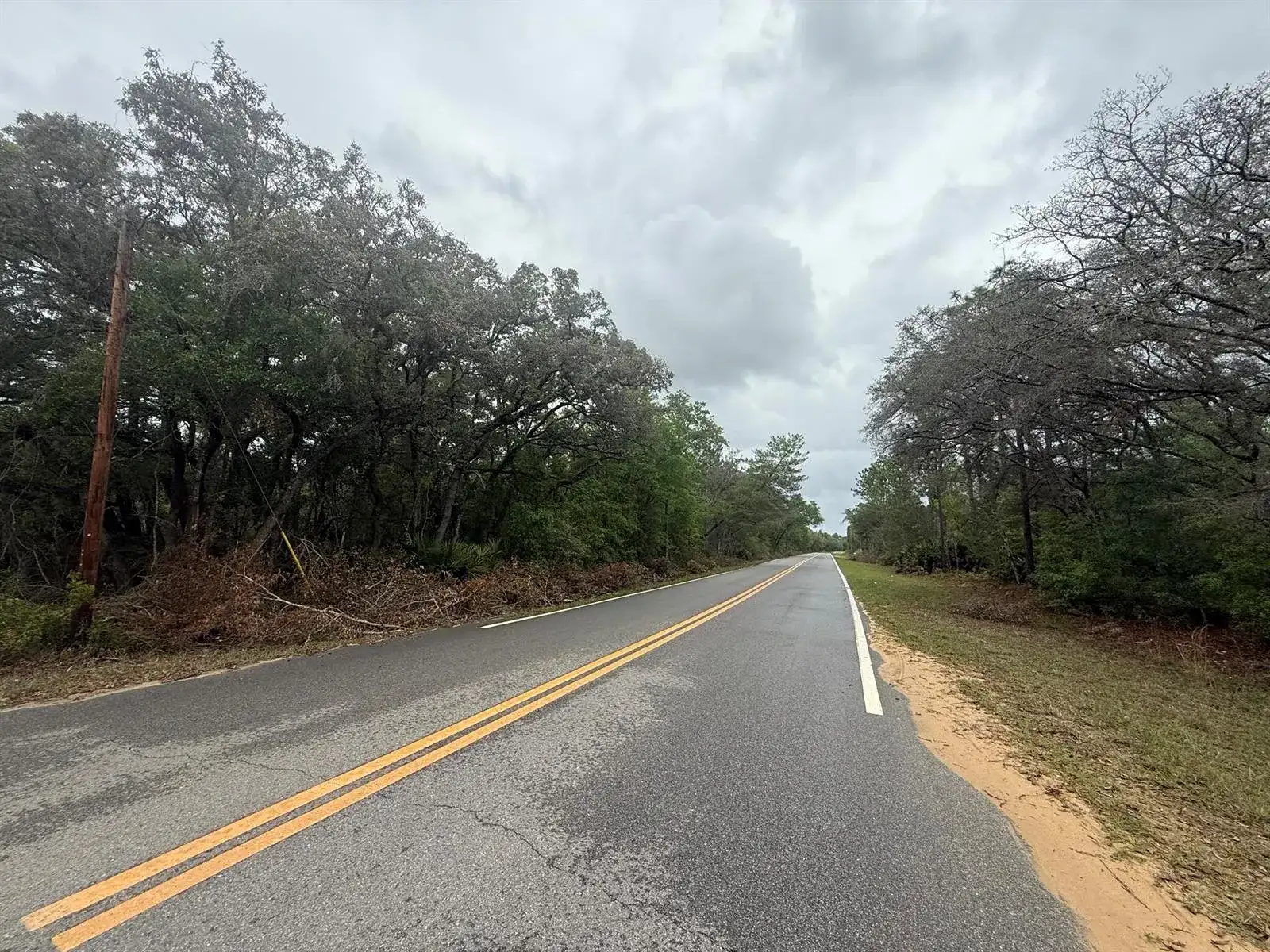 Tbd Theresa Avenue, FL 32148 photo 3