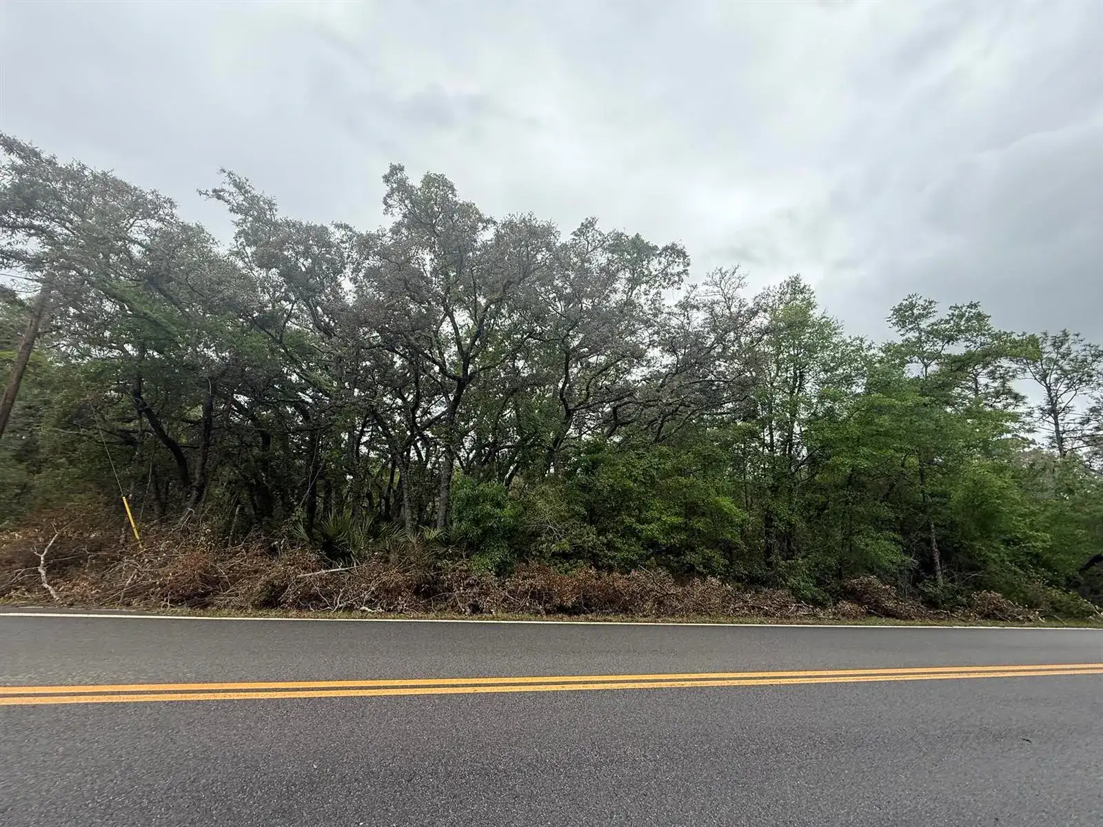 Tbd Theresa Avenue, FL 32148 photo 4