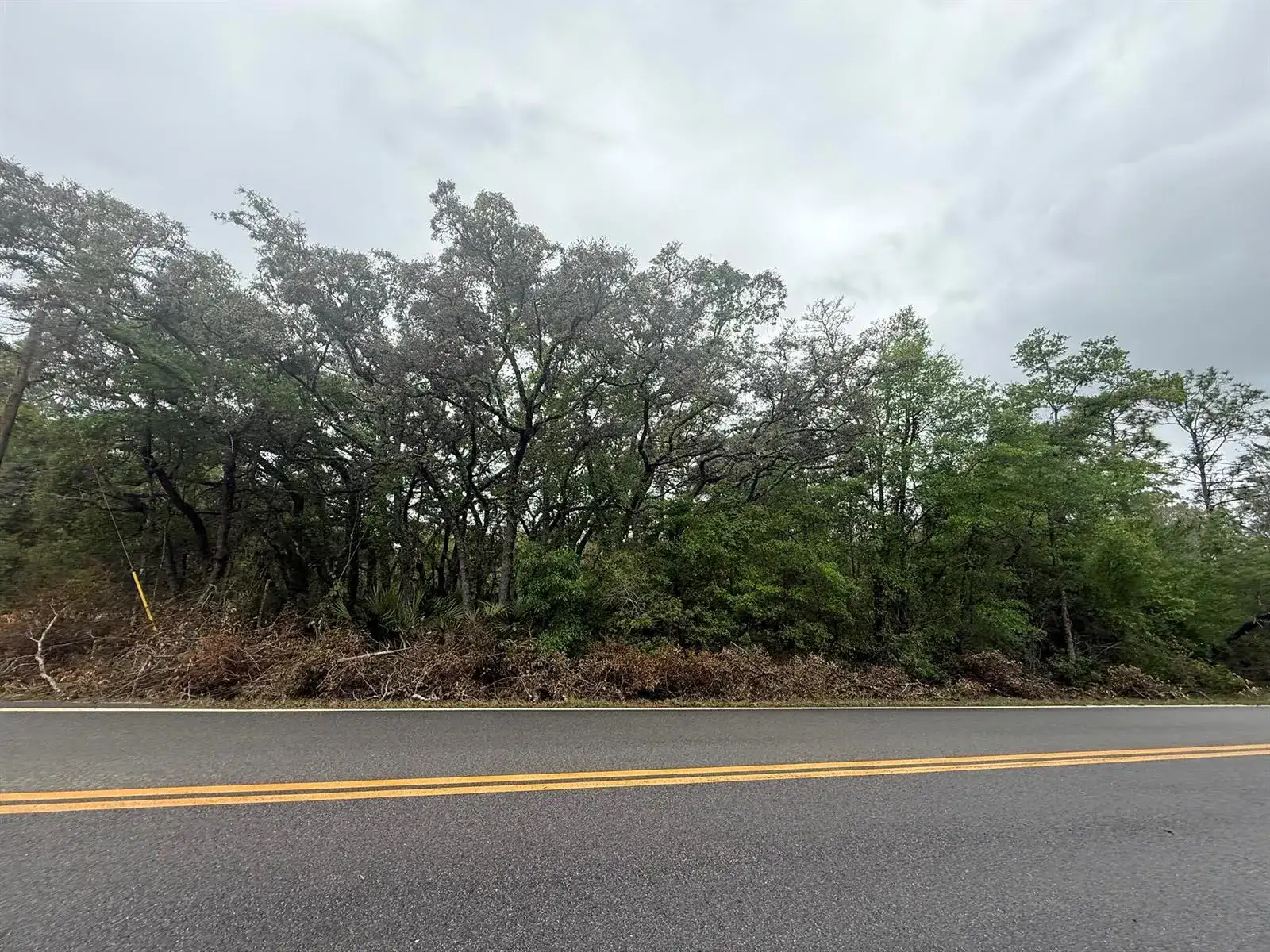 Tbd Theresa Avenue, FL 32148 photo 5